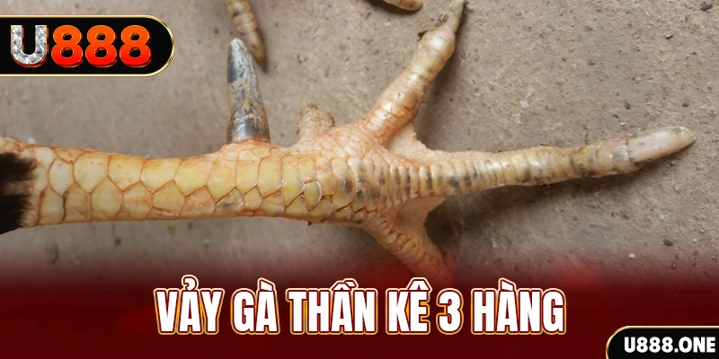 88 online nổ hũ đổi thưởng . ai