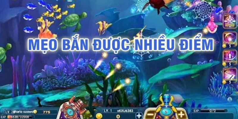 88 online đá gà