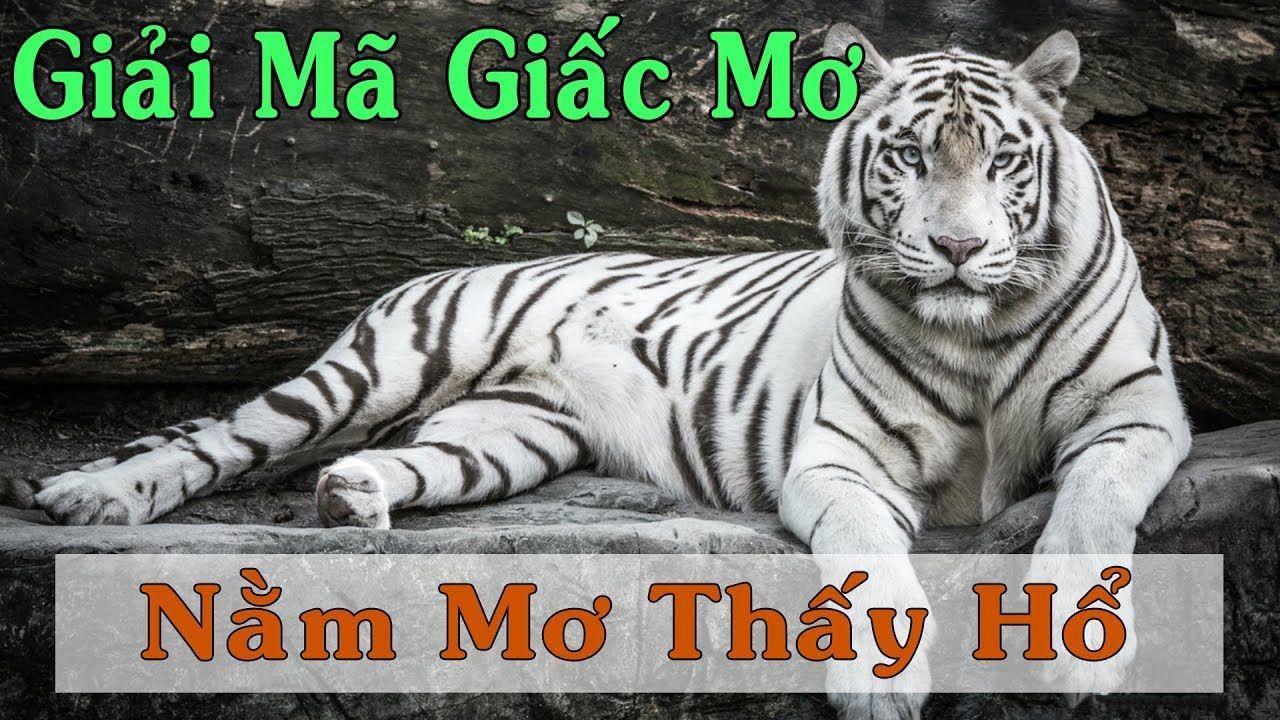 88 online xổ số miền trung
