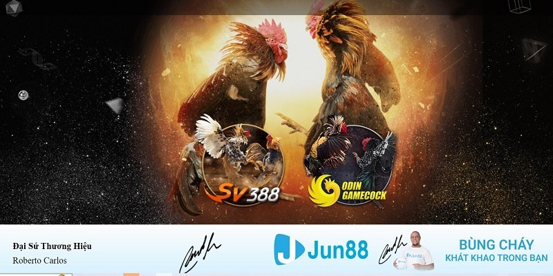 88 online xổ số miền nam hàng tuần