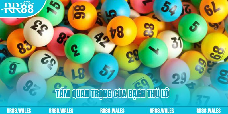 88 online Ws168 Đá Gà