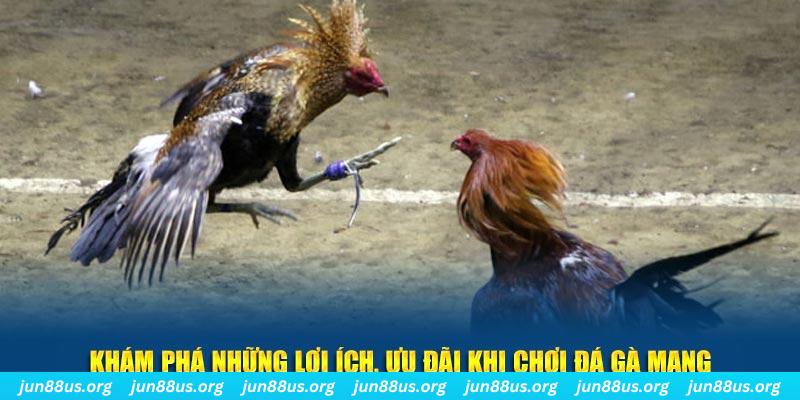 88 online Tài Xỉu 2