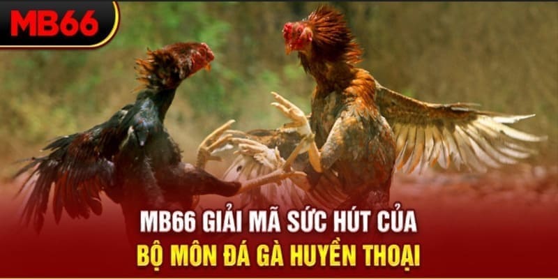 88 online long bảo trong baccarat là gì
