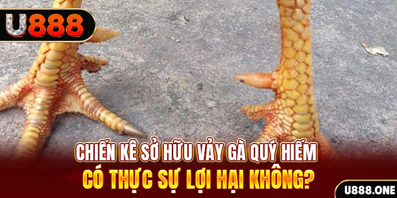 88 online game cá cược máy bay