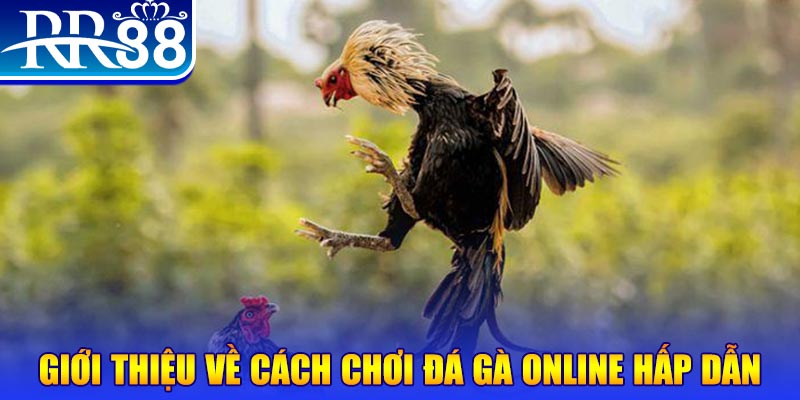 88 online nổ hũ 2 mặt là gì