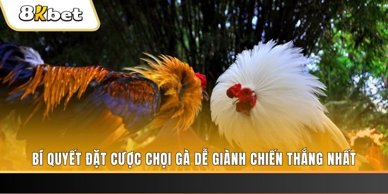 88 online may club nổ hũ