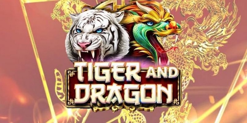 88 online cá cược tiếng anh là gì