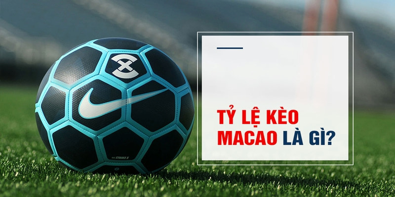 88 online Trăm Knorr